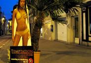 TEMPATION - PALM TREE